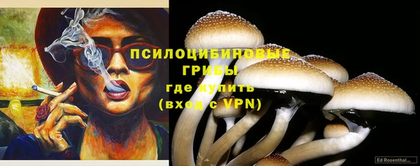 тгк Арсеньев